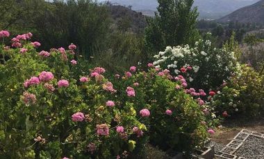 VENTA Casa Loft, en parcela