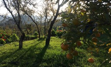 VENTA Casa Loft, en parcela