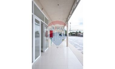 Arriendo de Locales Comerciales Peñaflor