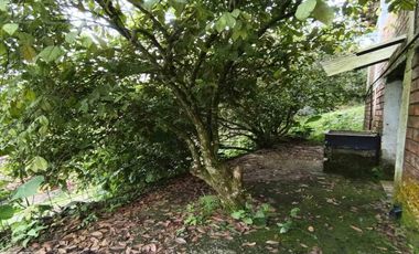 CABAÑA EN ARRIENDO EN VEREDA LA CHINA/MANIZALES