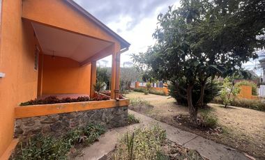 LOS LIGUSTROS - MIRAFLORES
