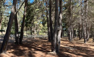 AVENIDA LITORAL DE LOS POETAS 3800, LAS CRUCES