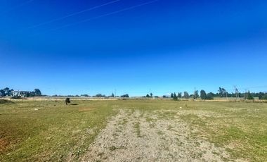 ORILLA CARRETERA, CRUCE TOTORAL