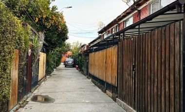 FROILAN ROA // BLIZARD