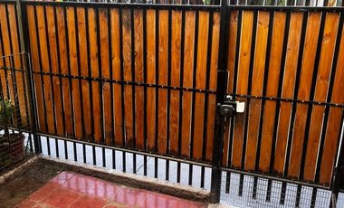 FROILAN ROA // BLIZARD