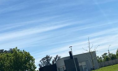 MAUEL BUSTOS HUERTA 03300