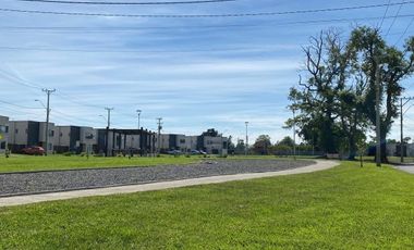 MAUEL BUSTOS HUERTA 03300