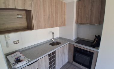 Departamento en Arriendo en los carrera