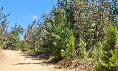 PAILIMO LT 1 – B 125, PICHILEMU