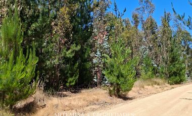 PAILIMO LT 1 – B 125, PICHILEMU