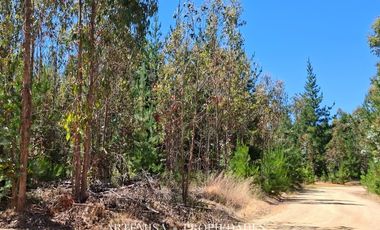 PAILIMO LT 1 – B 125, PICHILEMU