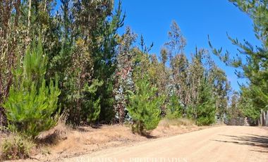 PAILIMO LT 1 – B 125, PICHILEMU