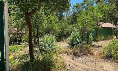 PASO HONDO, MELOSILLA