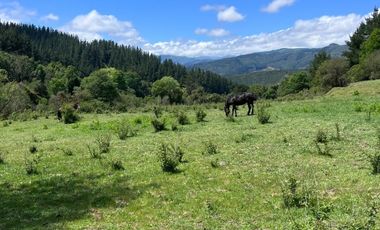 SECTOR VEGA DE SALAS, CAJÓN DEL ACHIBUENO