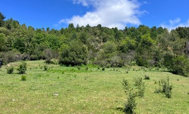 SECTOR VEGA DE SALAS, CAJÓN DEL ACHIBUENO