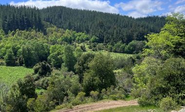 SECTOR VEGA DE SALAS, CAJÓN DEL ACHIBUENO