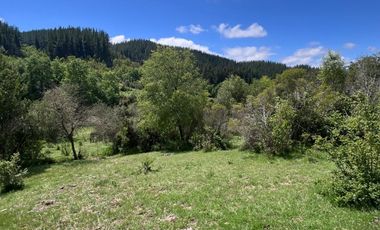 SECTOR VEGA DE SALAS, CAJÓN DEL ACHIBUENO