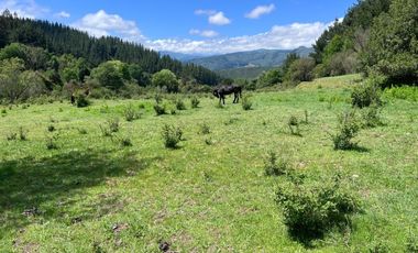 SECTOR VEGA DE SALAS, CAJÓN DEL ACHIBUENO
