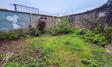 SANTA ISABELL DE PICARTE