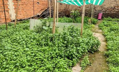 APOSTOL SANTIAGO 330