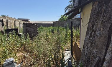 LOPE DE ULLOA CON MAPOCHO