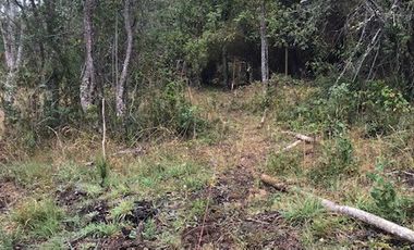 CONDOMINIO DON  JAIME