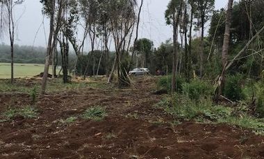 CONDOMINIO DON  JAIME