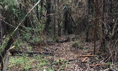 CONDOMINIO DON  JAIME