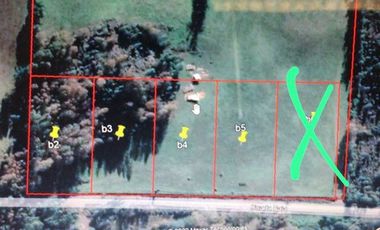 VENDO CUATRO (4) PARCELAS DE 5000M2, EN CUARTA FAJA, RUTA 81