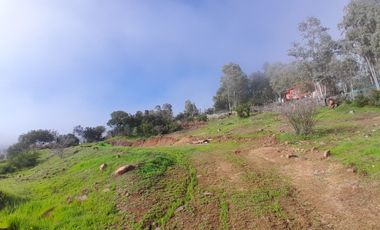 SANTA ROSA LAVADERO