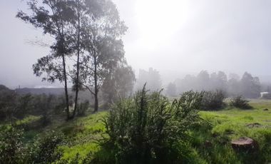 SANTA ROSA LAVADERO