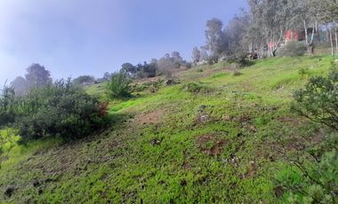 SANTA ROSA LAVADERO