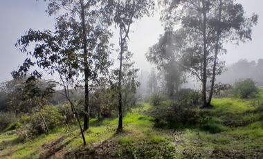 SANTA ROSA LAVADERO