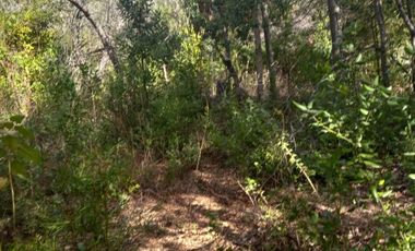 TERRENO SECTOR FUNDO LOS LAURELES