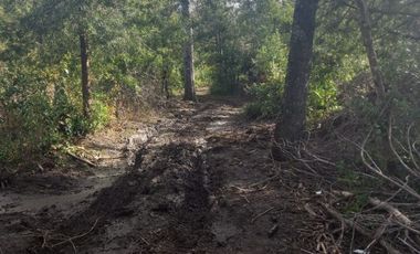 TERRENO SECTOR FUNDO LOS LAURELES