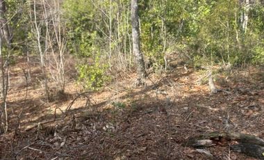 TERRENO SECTOR FUNDO LOS LAURELES