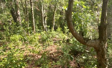 TERRENO SECTOR FUNDO LOS LAURELES