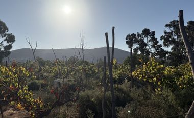 VILLA EL BOSQUE TAMBILLOS