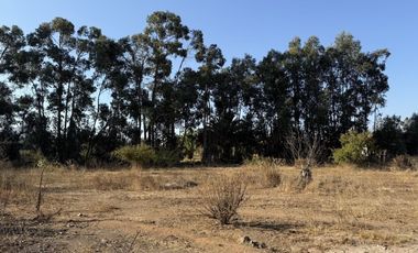 VILLA EL BOSQUE TAMBILLOS
