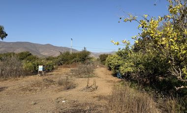 VILLA EL BOSQUE TAMBILLOS