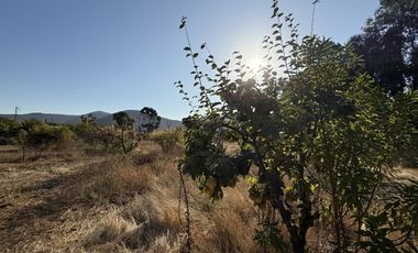 VILLA EL BOSQUE TAMBILLOS
