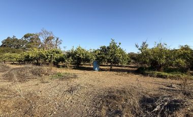 VILLA EL BOSQUE TAMBILLOS