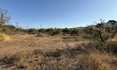 VILLA EL BOSQUE TAMBILLOS