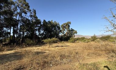 VILLA EL BOSQUE TAMBILLOS
