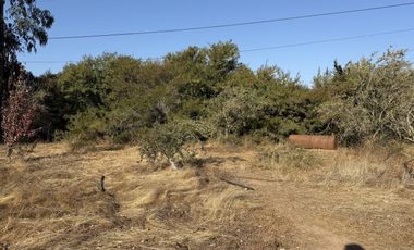 VILLA EL BOSQUE TAMBILLOS