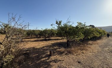 VILLA EL BOSQUE TAMBILLOS