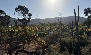 VILLA EL BOSQUE TAMBILLOS