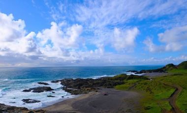 PARCELA AGRADO PELLUHUE