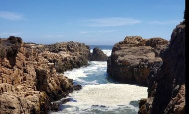 PARCELA AGRADO PELLUHUE