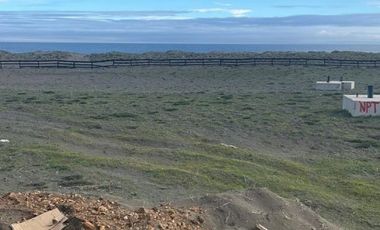 PARCELA AGRADO PELLUHUE